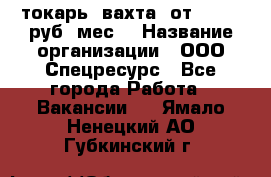 токарь. вахта. от 50 000 руб./мес. › Название организации ­ ООО Спецресурс - Все города Работа » Вакансии   . Ямало-Ненецкий АО,Губкинский г.